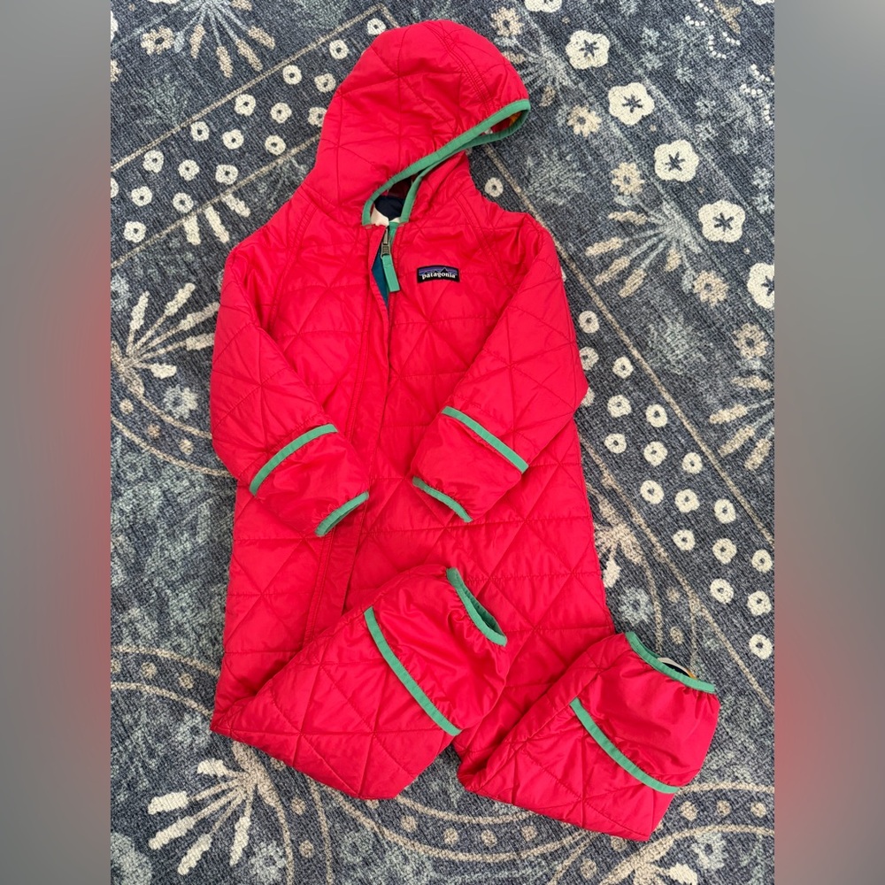 Patagonia reversible bunting